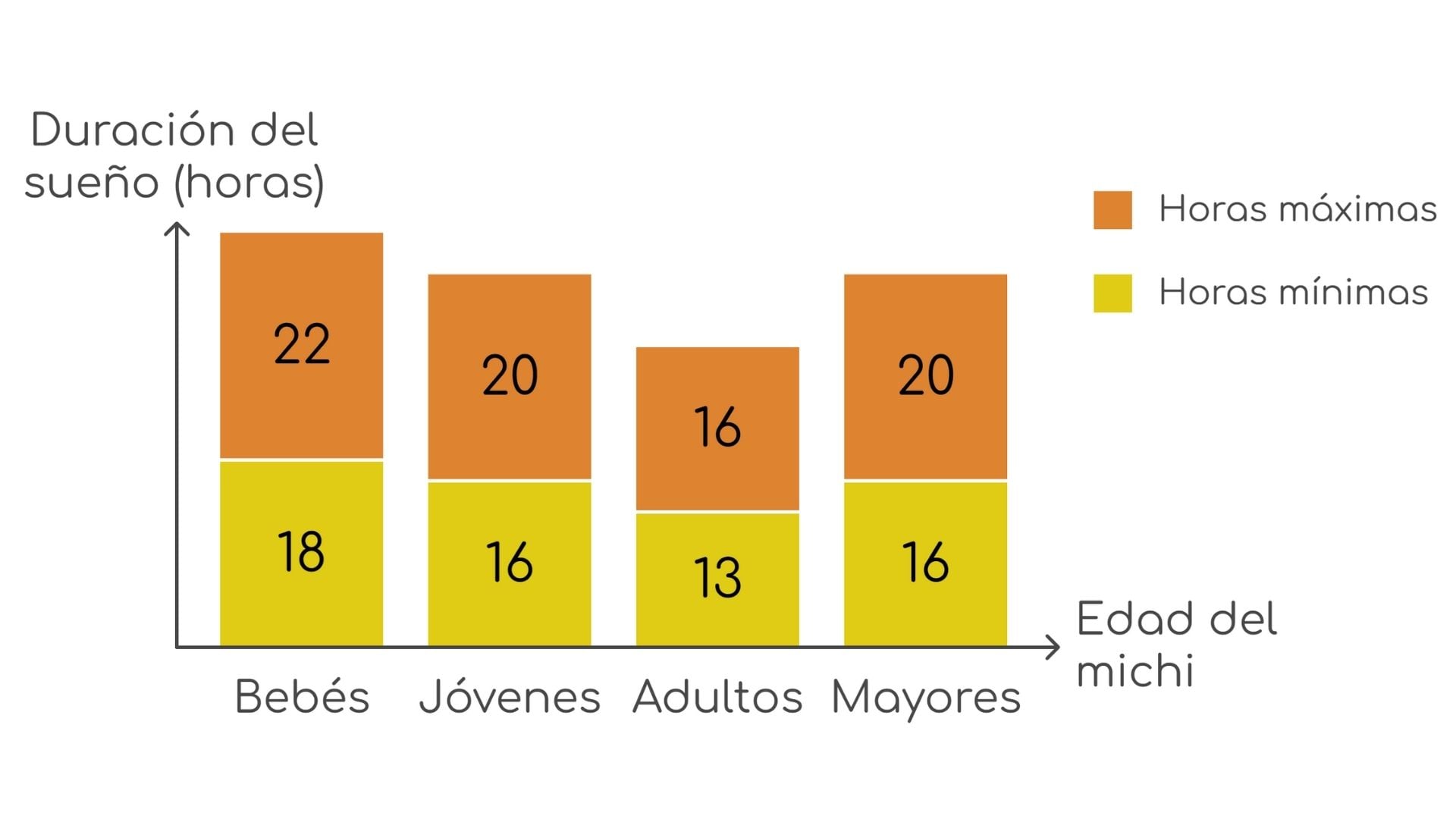 esquema horas de sueño gato